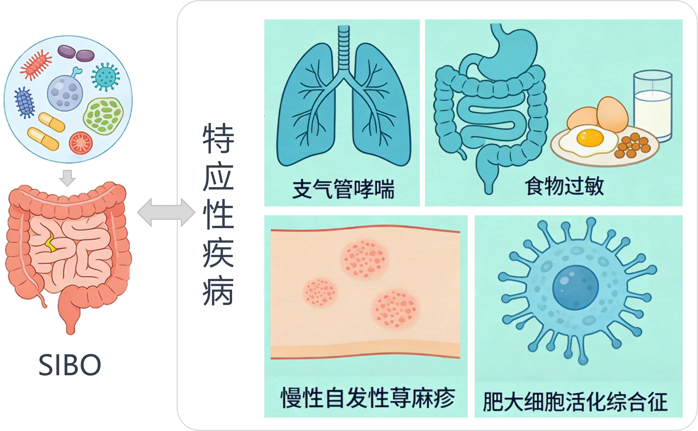 前沿论文 | 小肠细菌过度生长(SIBO)与特应性表现之间可能的交叉调控——简要概述封面