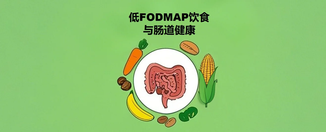 科普课堂 | 从IBS到SIBO:低FODMAP饮食如何成为肠道健康的“秘密武器”?封面